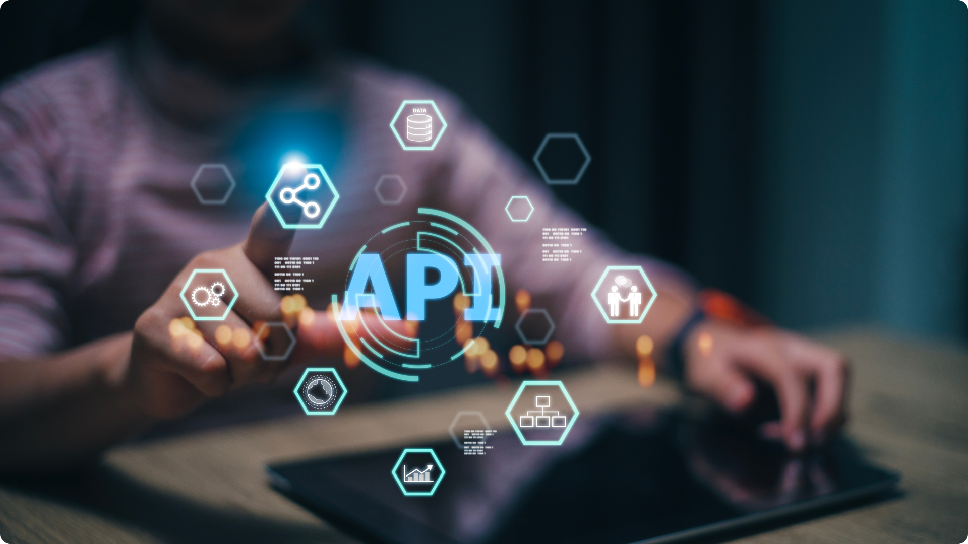 Software Integration