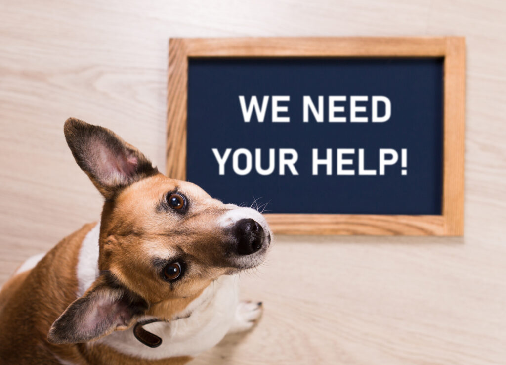Donation Support